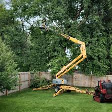 Best Aeration Services  in Cold Spring Harbor, NY